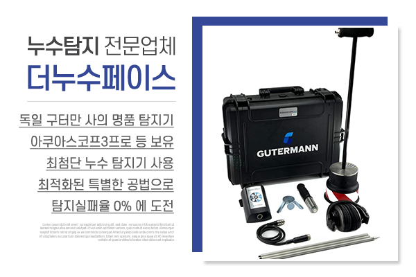 더누수페이스_메인상단_소개