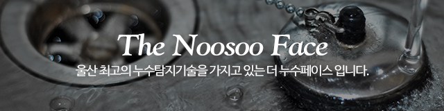 더누수페이스_이미지m